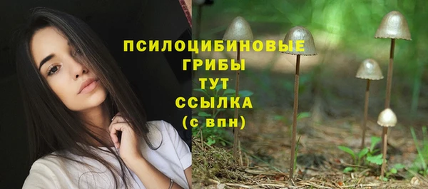 а пвп мука Мегион
