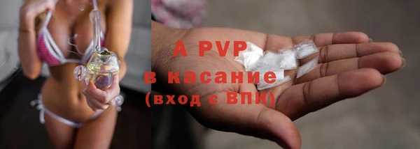 гашик Медногорск