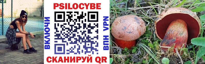 Галлюциногенные грибы мицелий  закладка  Шарья 